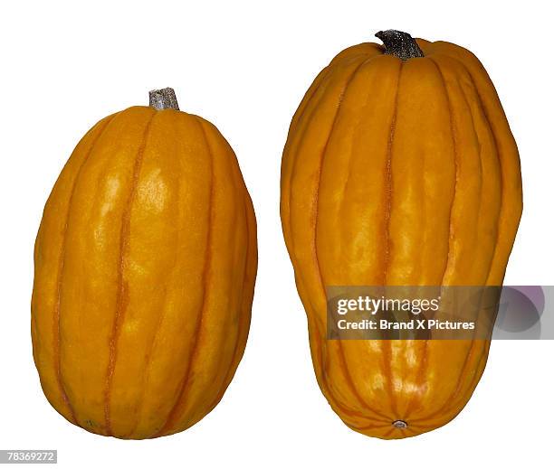 delicata squash - delicata squash stock pictures, royalty-free photos & images