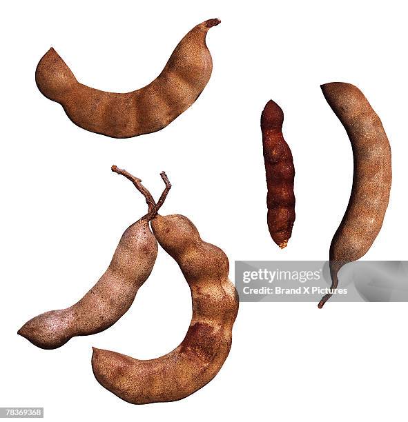 tamarindo - tamarindo stock pictures, royalty-free photos & images