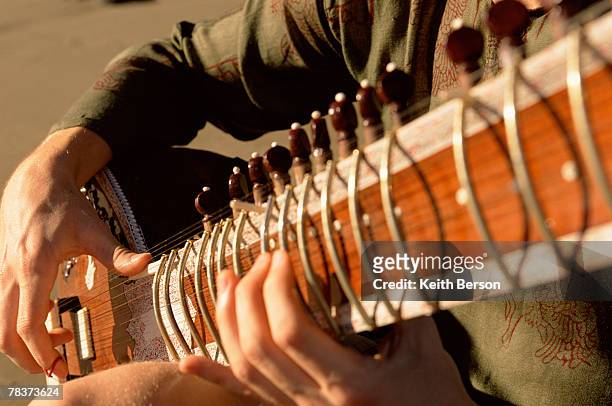 close-up of man playing sitar - sitar photos et images de collection