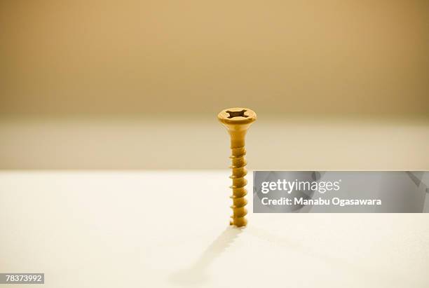 Felipe Screw Phillips Head Screw Photos and Premium High Res Pictures - Getty Images