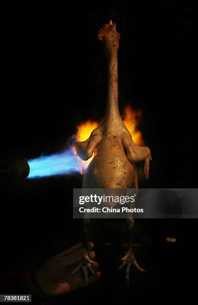 Vendor burns plumage from a slaughtered duck at a market on December 11, 2007 in Chongqing Municipality, China. According to state media, the...