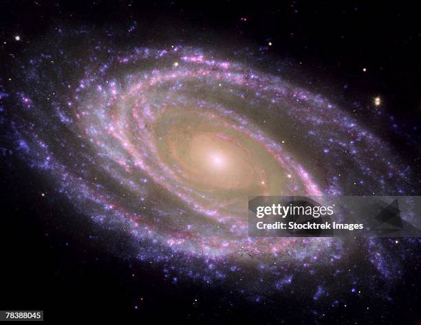 spiral galaxy - pinwheel galaxy stock pictures, royalty-free photos & images