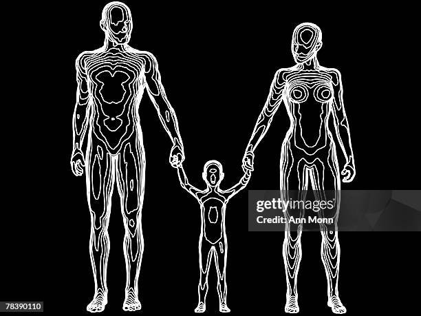 60 Topographic Map Anatomy Stock Photos, High Biology Diagrams