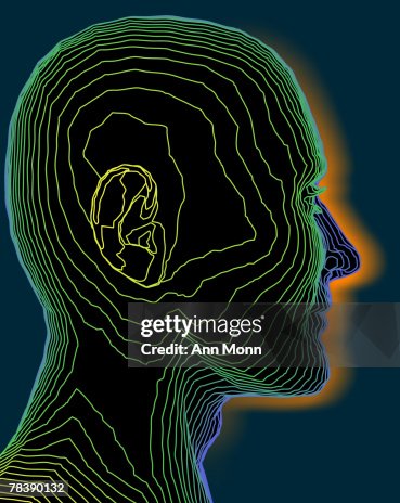 Human Head Ridge Profile Of Head In Colored Topographic Relief High-Res Vector Graphic ...