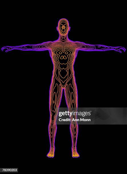 Topographic Map Anatomy High Res Illustrations Biology Diagrams