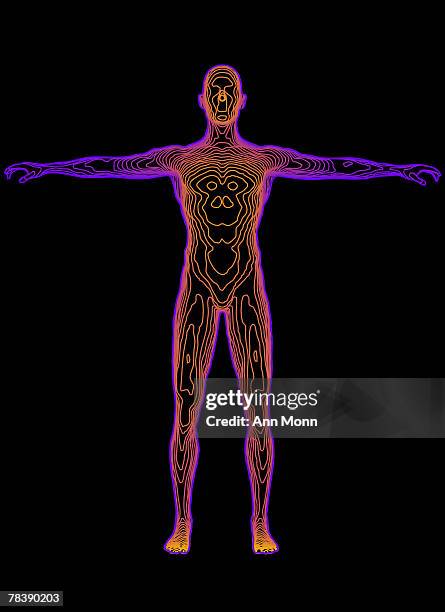 colored topographic relief of man with arms outstretched - human arm anatomy stock illustrations