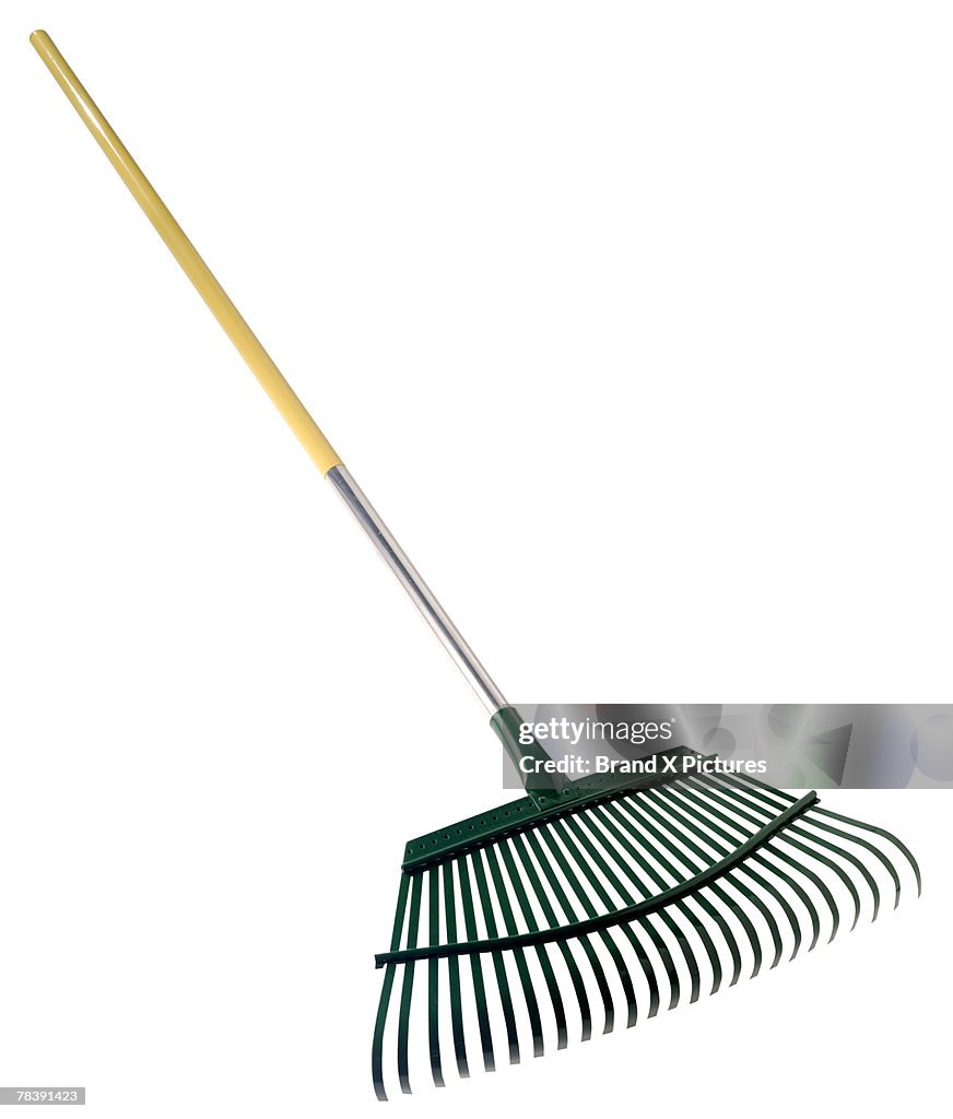 Original Rake Photo Rake High-Res Stock Photo - Getty Images