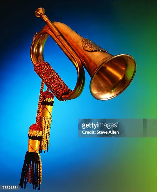 bugle - bugle stock pictures, royalty-free photos & images