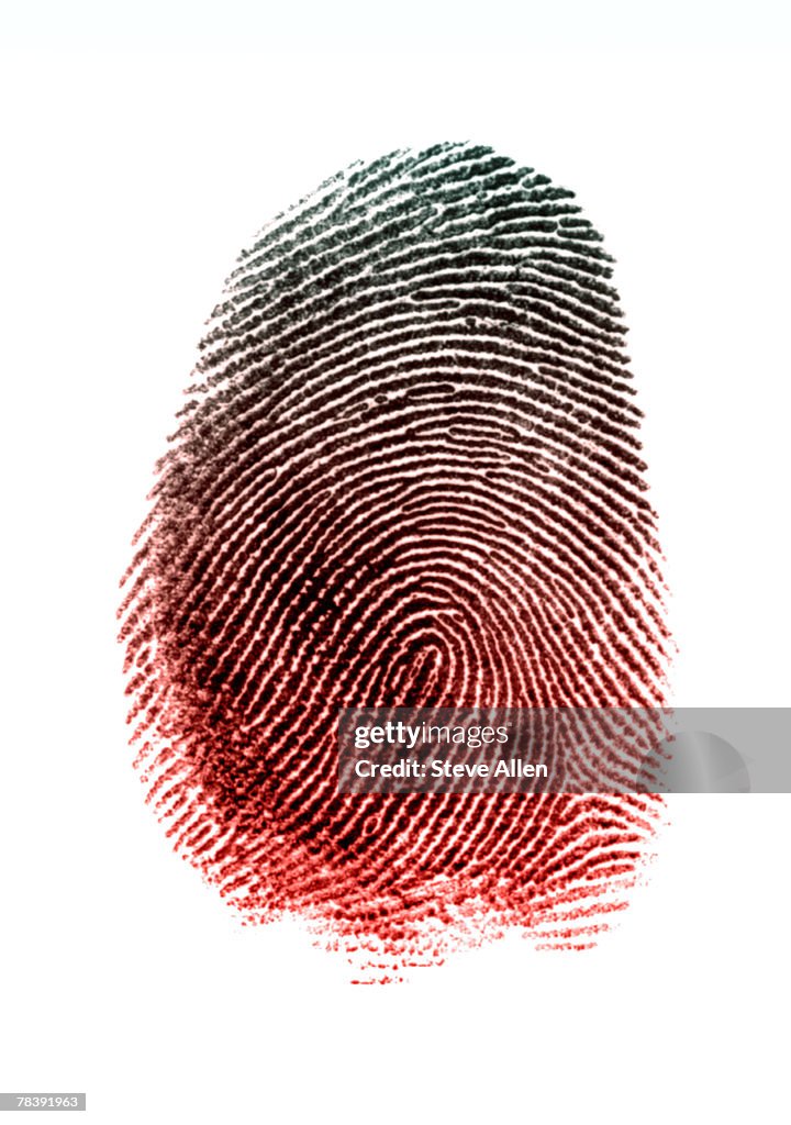 Fingerprint