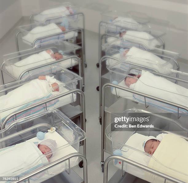 hospital nursery - babies in a row stock pictures, royalty-free photos & images