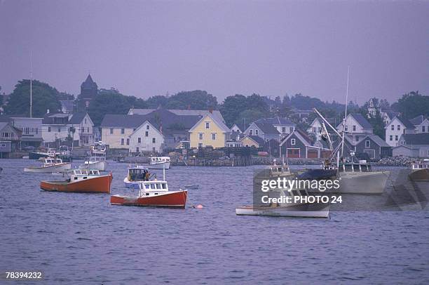 harbor in vinalhaven, maine - vinalhaven bildbanksfoton och bilder