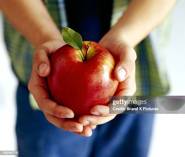 boy holding apple - queridinho do professor - fotografias e filmes do acervo