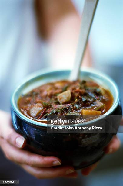 homemade chunky stew - stew stock pictures, royalty-free photos & images