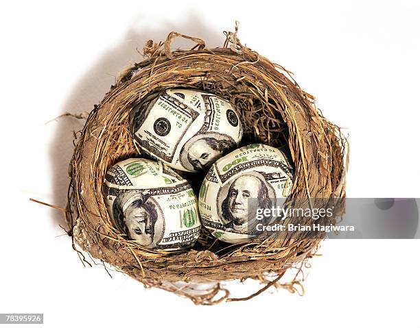 hundred dollar bills in a nest - eggs in basket stock pictures, royalty-free photos & images