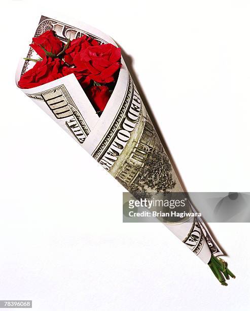 roses wrapped in hundred dollar bill - knockout roses stock pictures, royalty-free photos & images