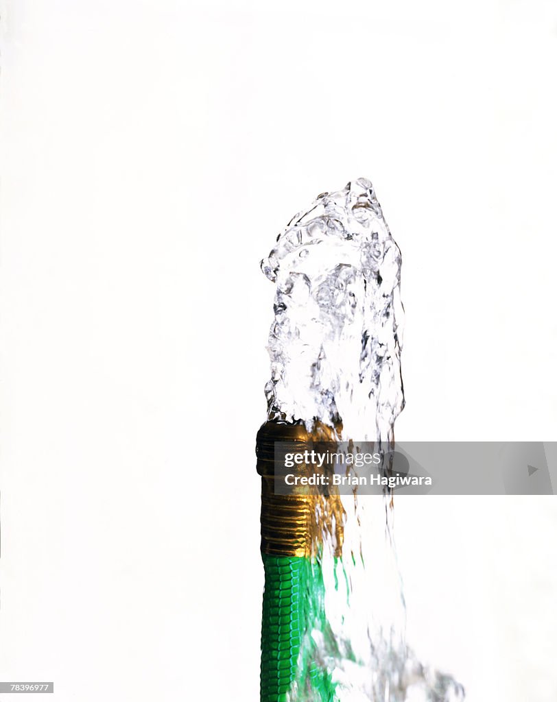 Garden hose gushing water