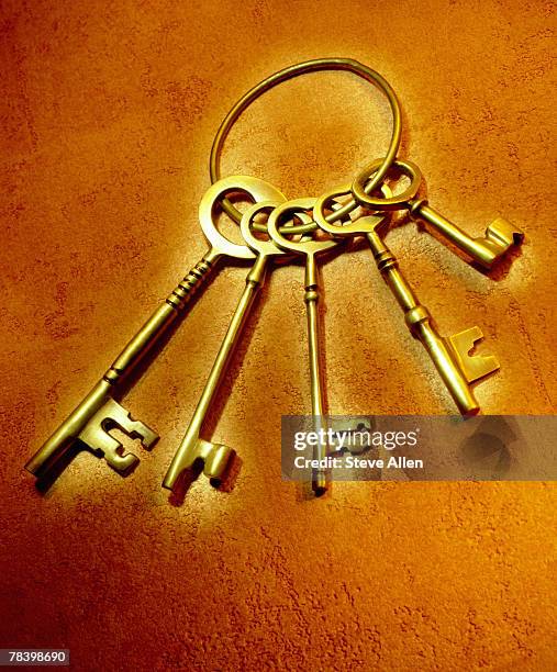 Old Key Rings Types 154 Old Key Ring Stock Photos, High-Res Pictures, and Images - Getty Images