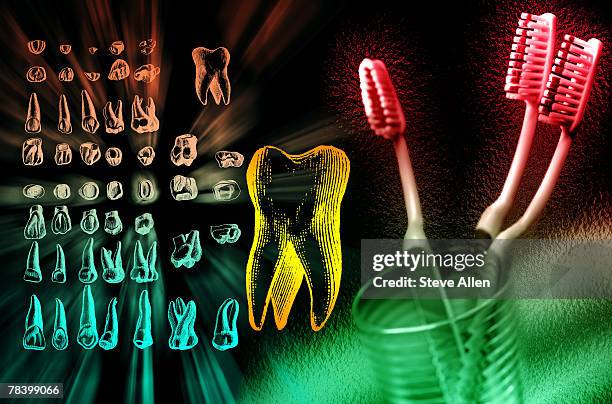 Tooth Color Reference Tooth Color Chart Photos and Premium High Res Pictures - Getty Images