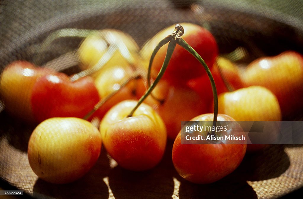 Cherries