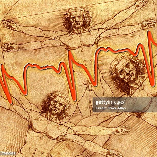 ilustraciones, imágenes clip art, dibujos animados e iconos de stock de heart trace and da vinci drawing - leonardo da vinci