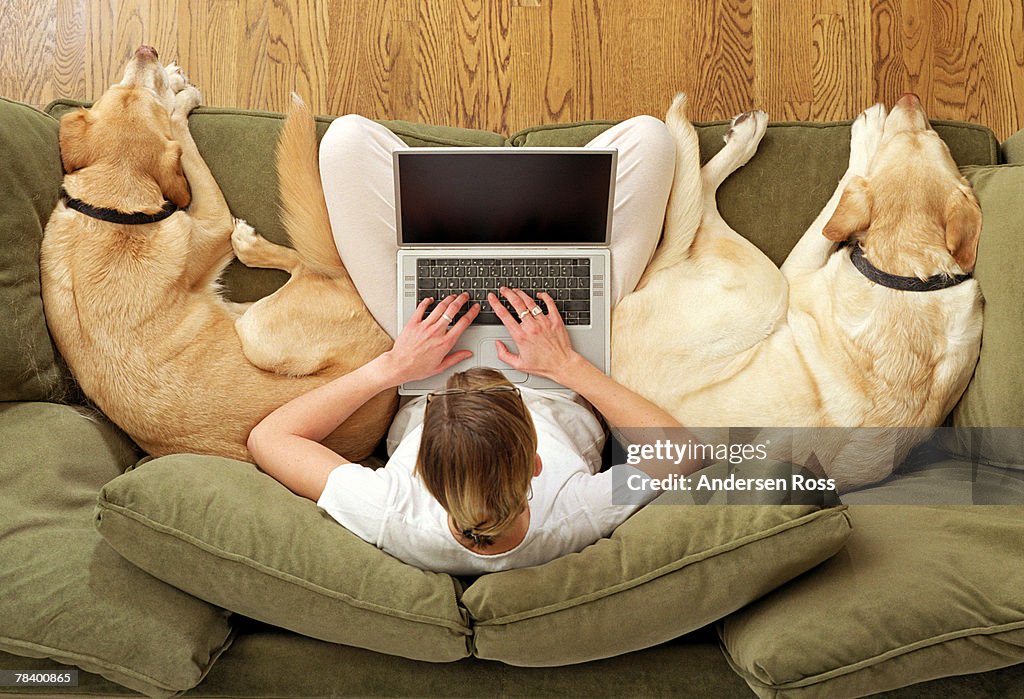 Woman lounging on sofa with laptop computer and dogs
