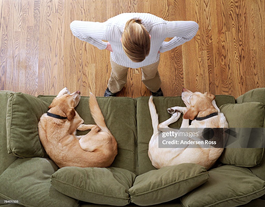 Angry woman with sleeping dogs on sofa