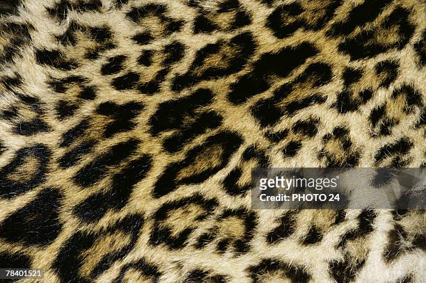 leopard print pattern - gepardenfell stock-fotos und bilder