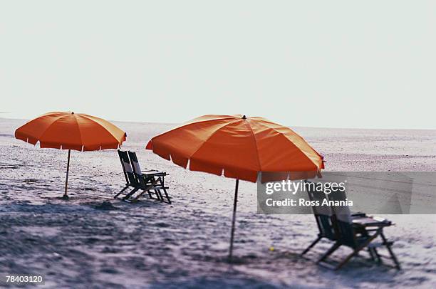 chairs and umbrellas on beah - life si a beach stock pictures, royalty-free photos & images