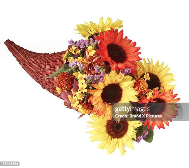 cornucopia of flowers - thanksgiving cornucopia stock pictures, royalty-free photos & images