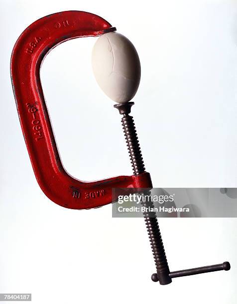 clamp with egg - vice fotografías e imágenes de stock