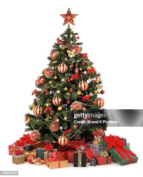 16,221 X Tree Stock Photos, High-Res Pictures, and Images 16,221 X Tree Stock Photos, High-Res Pictures, and Images