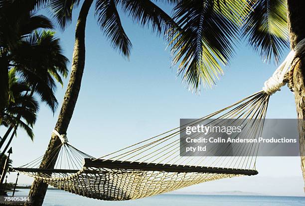 hammock by beach - life si a beach stock pictures, royalty-free photos & images