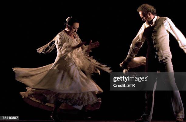 Spanish flamenco dancer Cristina Hoyos performs during her 'Viaje al Sur' dance show, the night of 10 December 2007 at the Garcia Lorca Theatre in...
