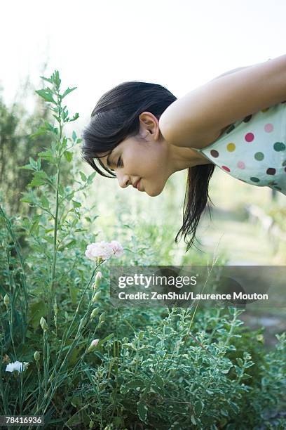 young woman bending over to smell flowers in garden - cravo da china imagens e fotografias de stock