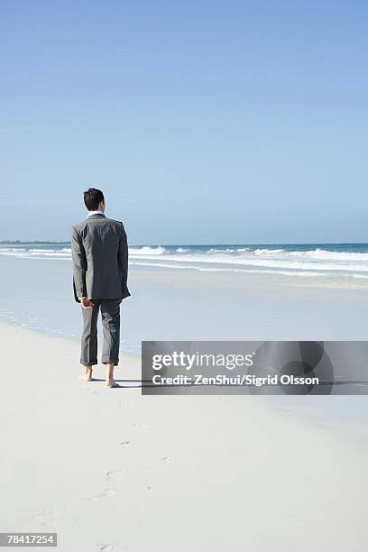 businessman walking barefoot on beach, rear view - rolled up pants stockfoto's en -beelden