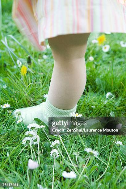 toddler girl standing on grass, low section - jelly shoe stock pictures, royalty-free photos & images