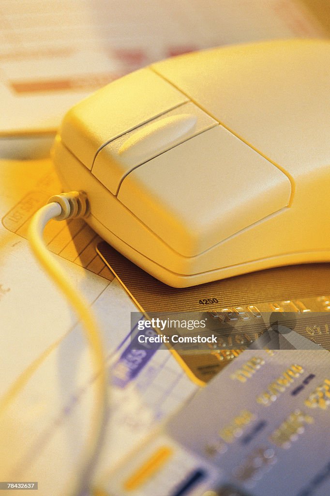Computer mouse with credit cards and bills