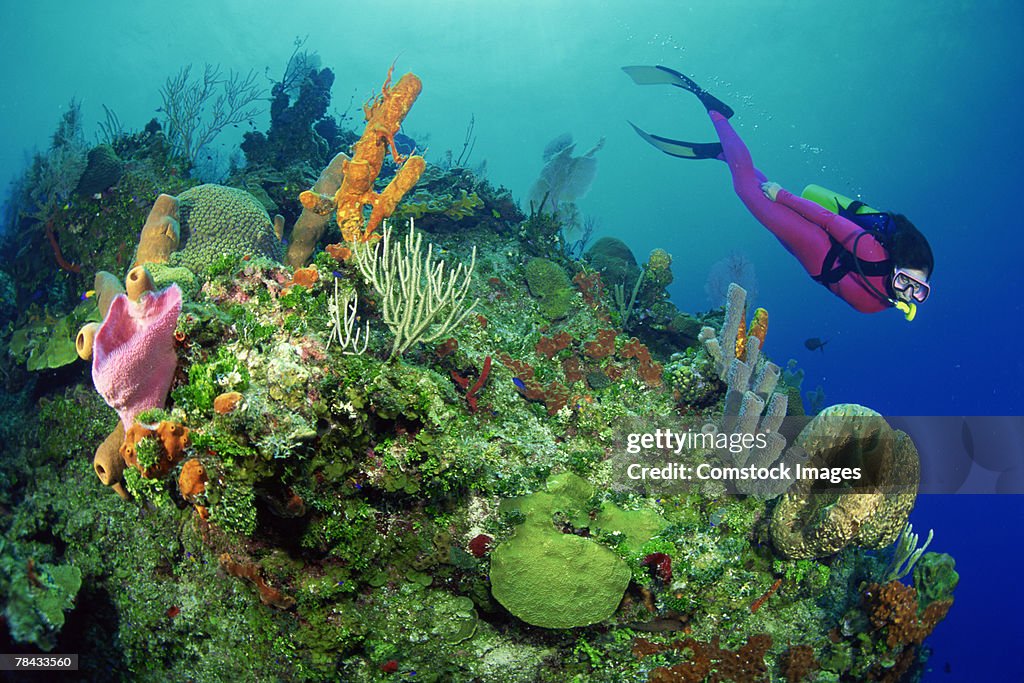 Scuba diver by coral reef