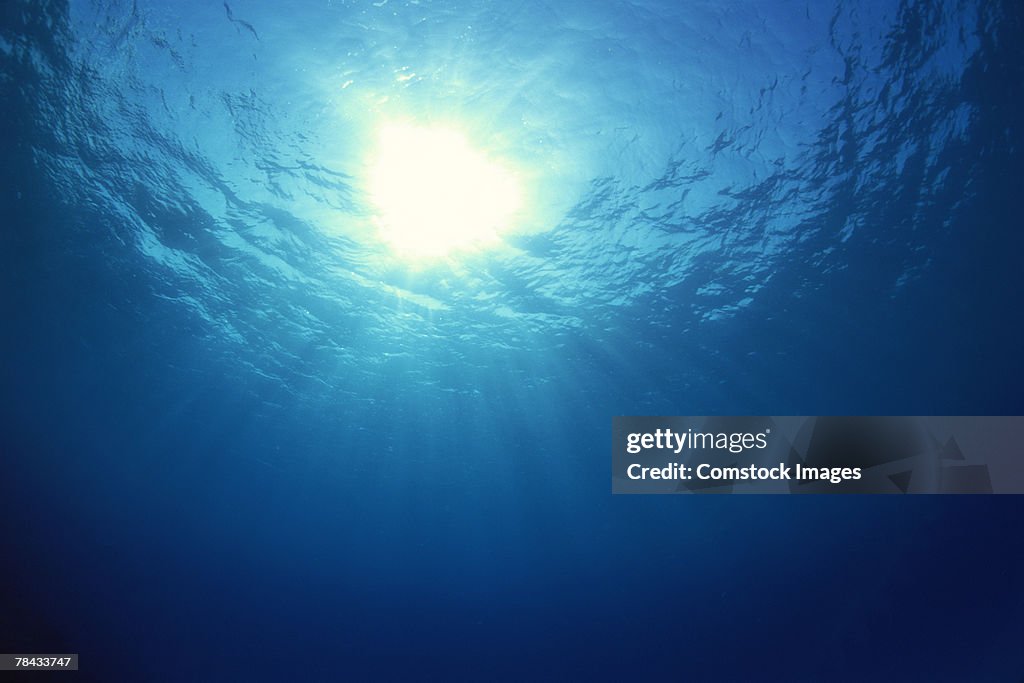 Underwater waves and sunlight