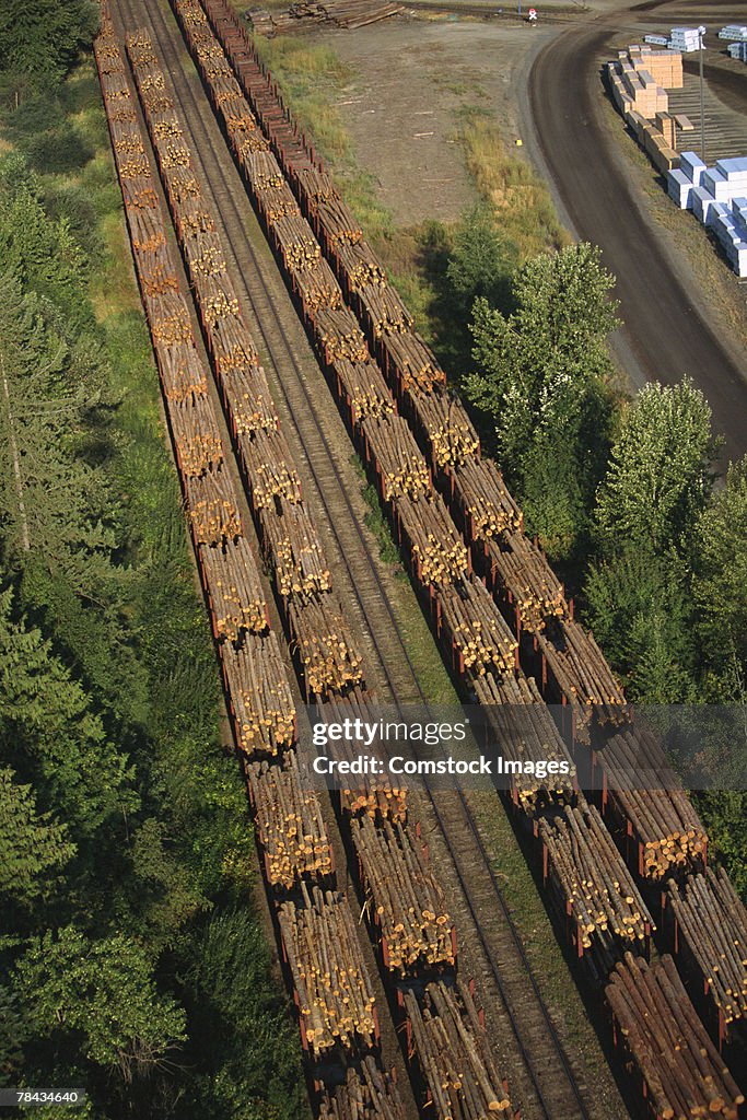 Aerial view of logs on freight train