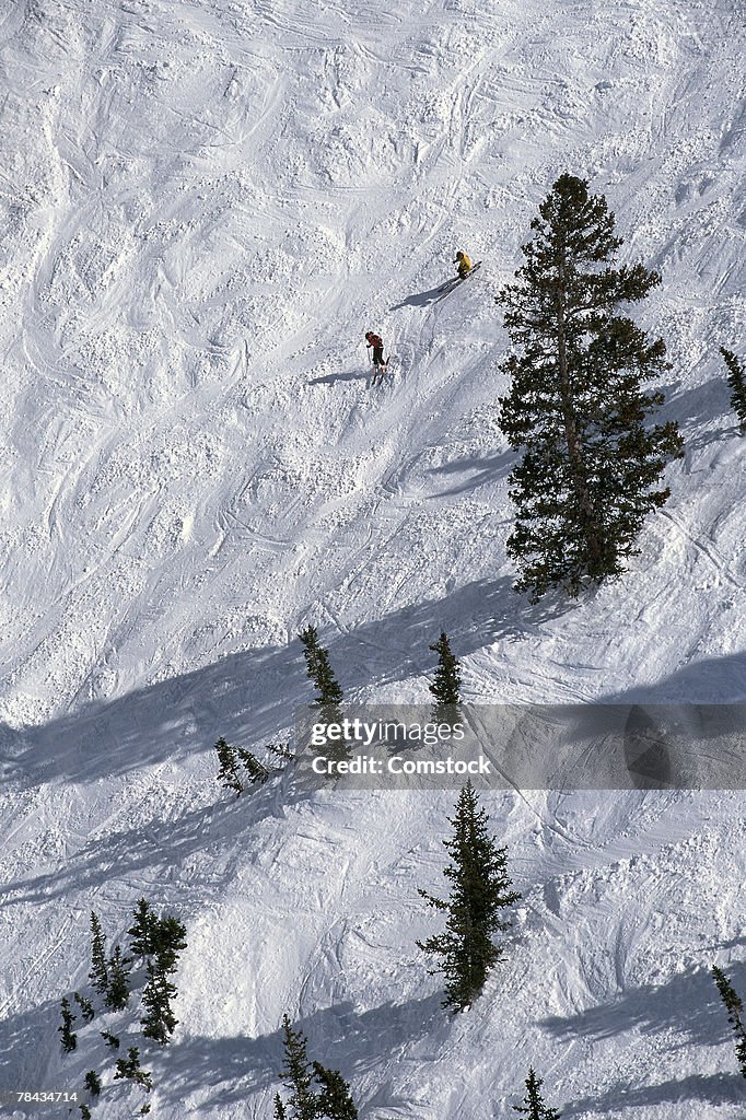 Alpine skiing