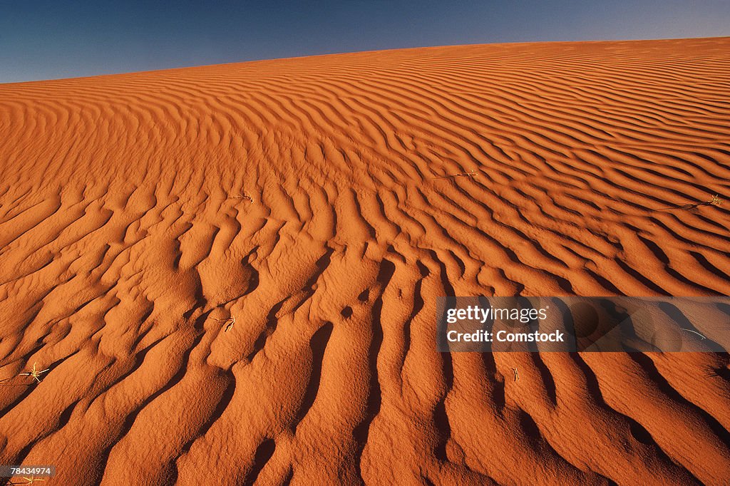 Ripples in sand dune