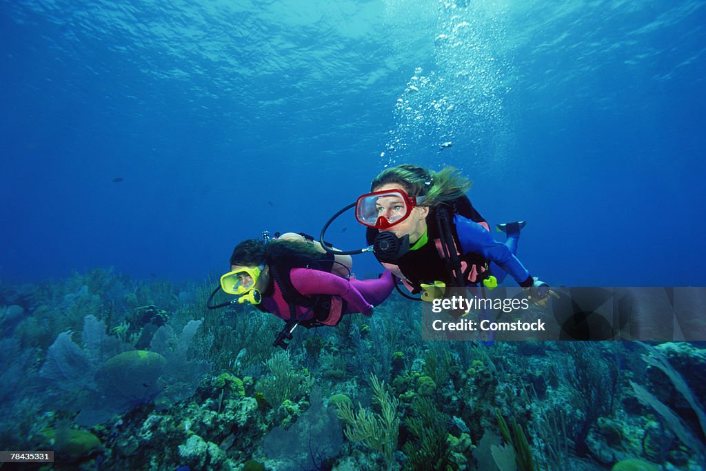 Divers in shallow reefs