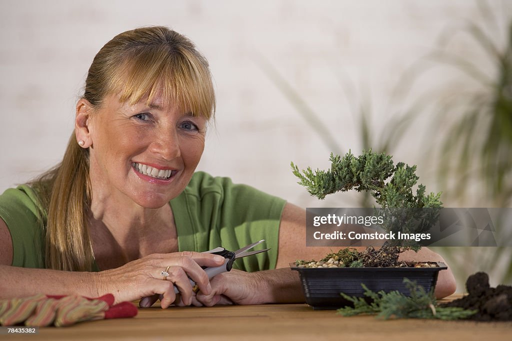 Woman pruning bonsai tree