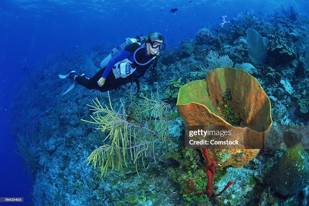 Scuba diver near green barrel sponge