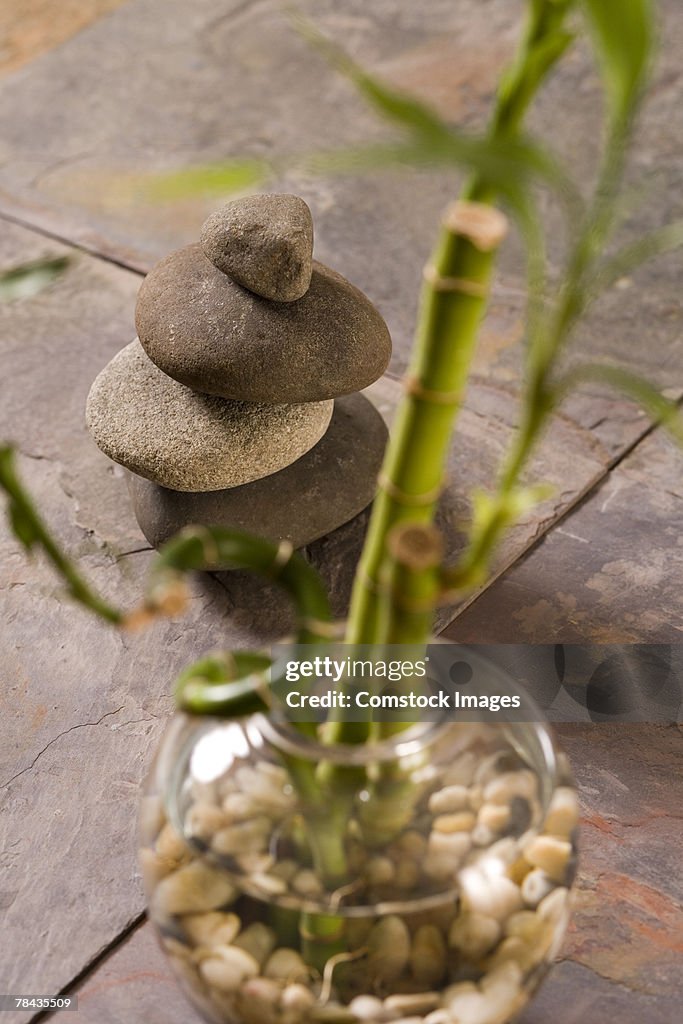 Stack of stones and bamboo plant