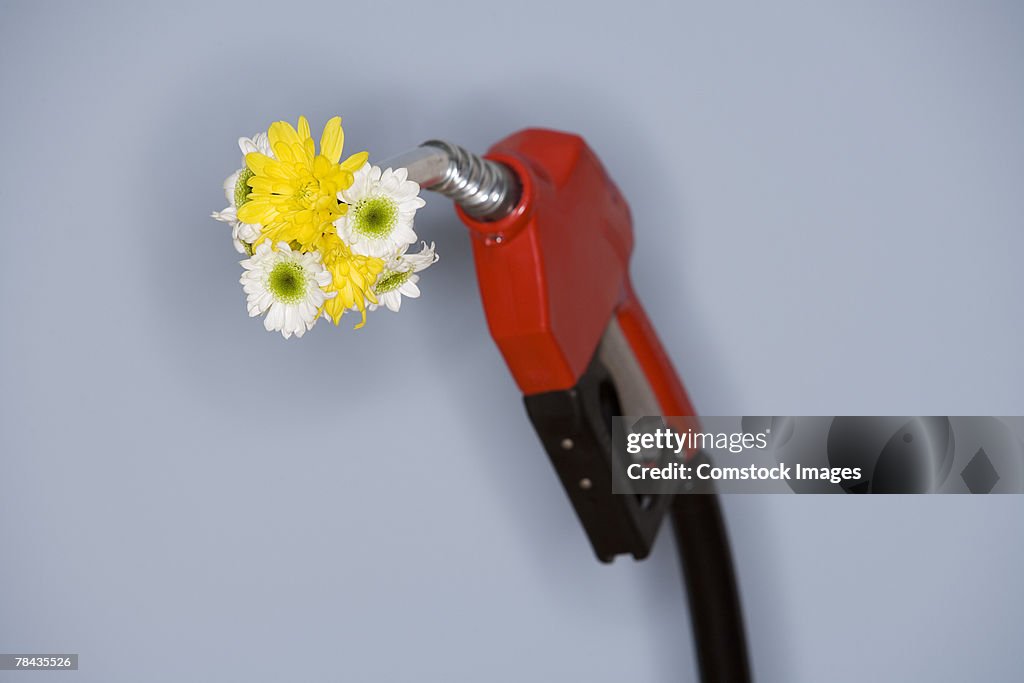 Flowers and gas pump