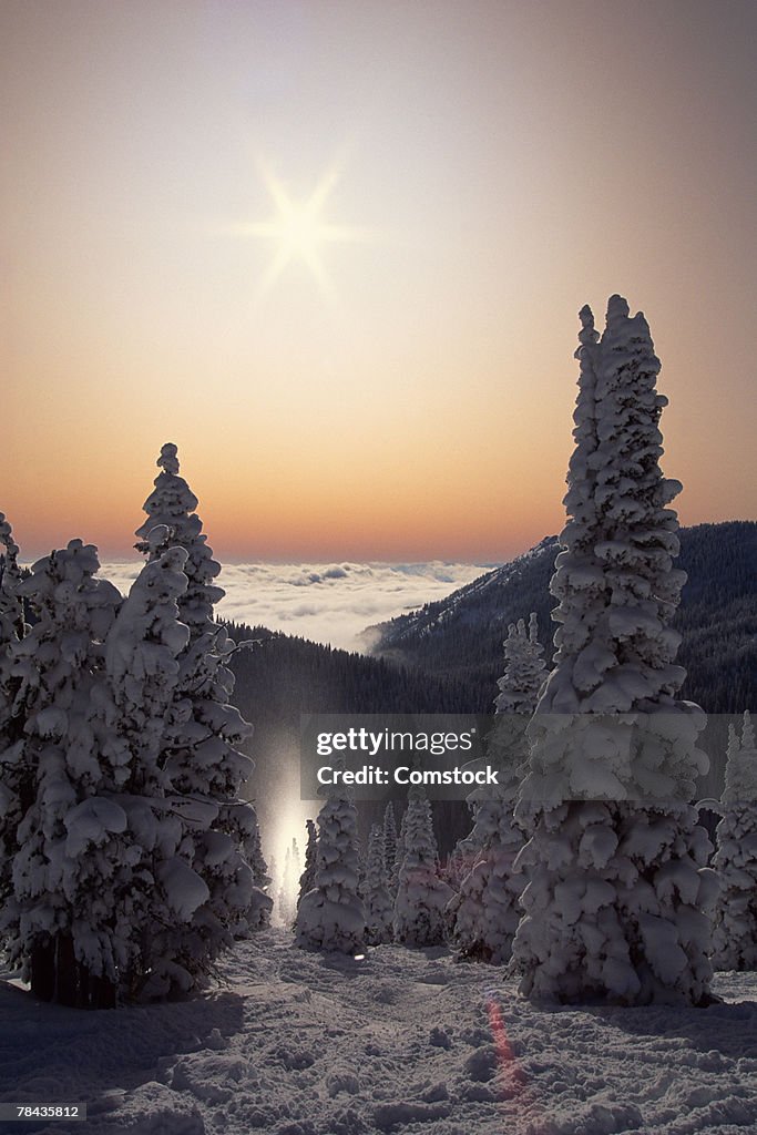 Sun dog at Red Mountain , British Columbia , Canada