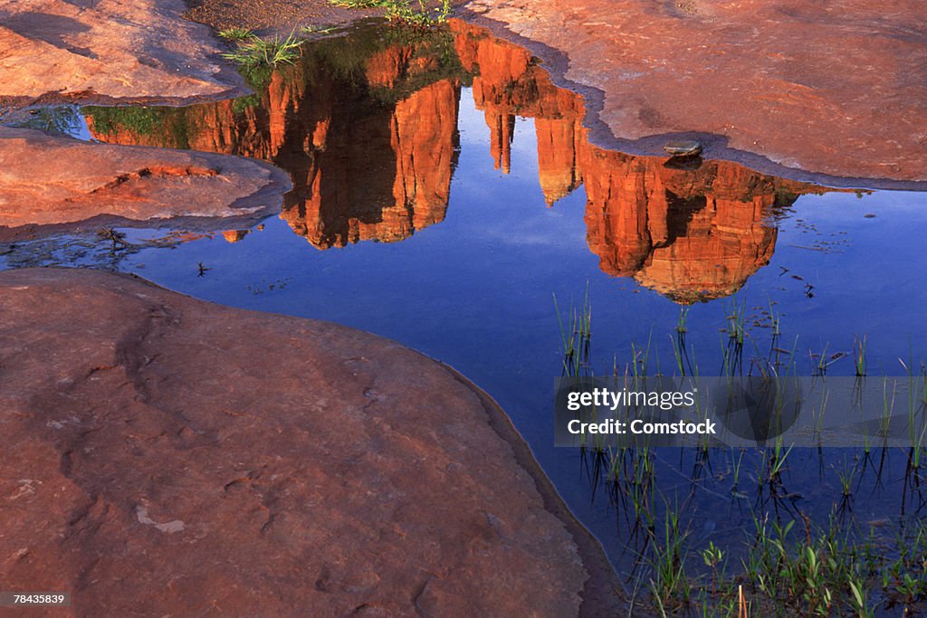 Reflection of Cathedral Rock at Red Rock Crossing in puddle , Sedona , Arizona