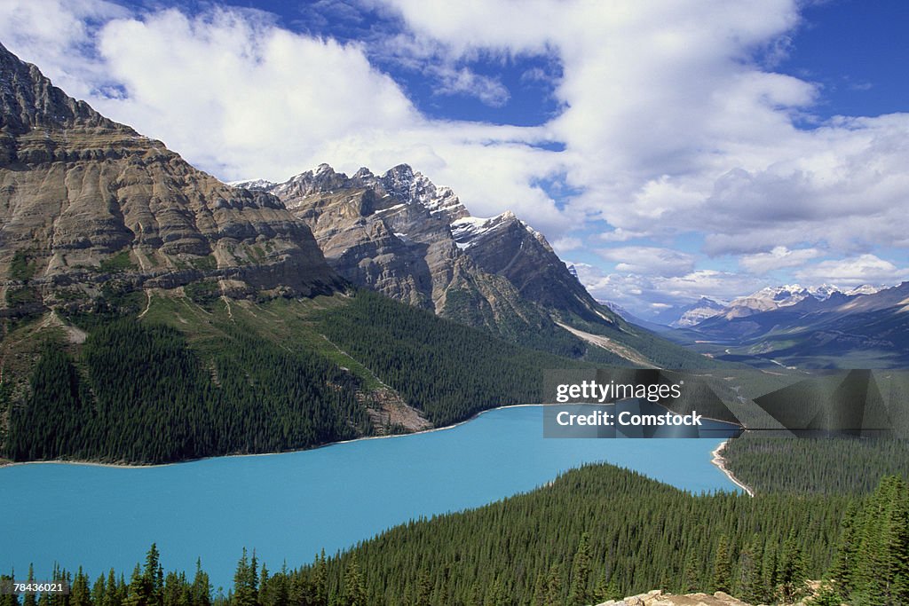 Peyto Lake at Jasper National Park , Alberta , Canada